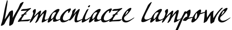 logo wzmacniacze lampowe